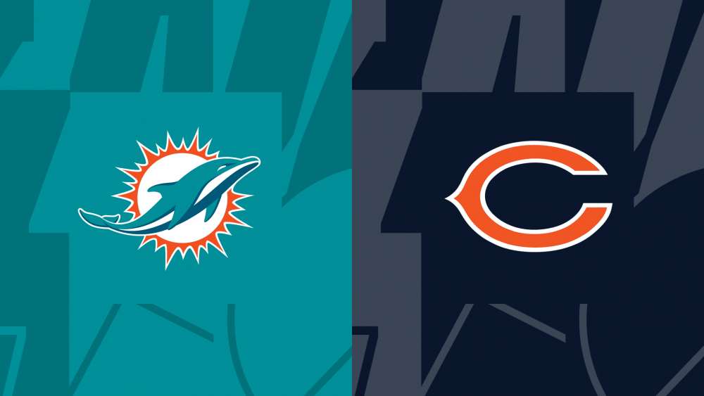 dolphins vs bears