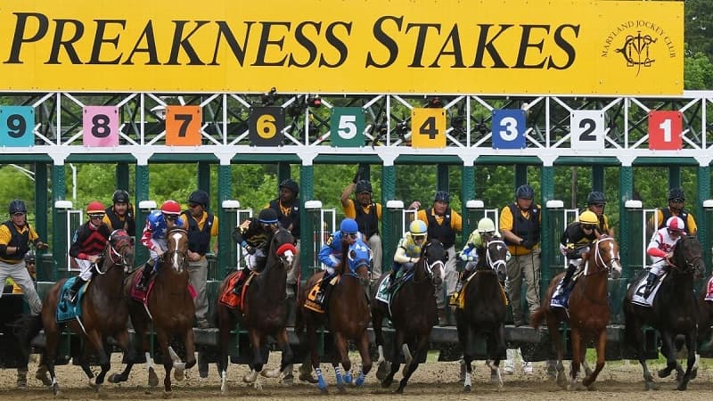 preakness stakes|preakness